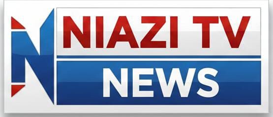 niazitvnews.site